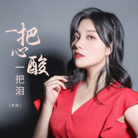 一把心酸一把泪 (EP)