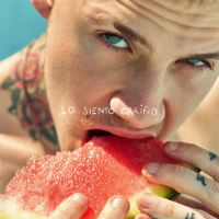 LO SIENTO CARIÑO (Single)