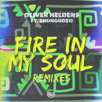 Fire In My Soul (Gil Sanders Remix) (Single)