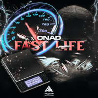 Fast Life (Single)