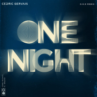 One Night (D.O.D Remix) (Single)