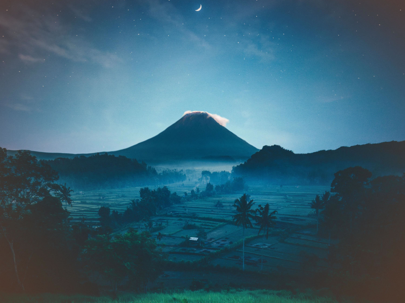 Cricket Sounds in Summer Evening for Calm Sleep and Meditation (Single)