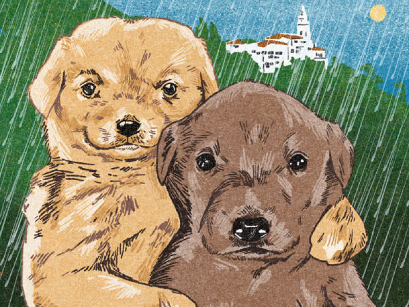 LLOVIENDO EN BOGOTÁ (Single)