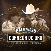 Corazón de Oro (En Vivo Desde El Domo Care) (Single)