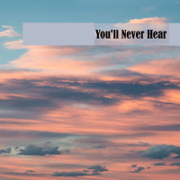 You'll Never Hear (Single)