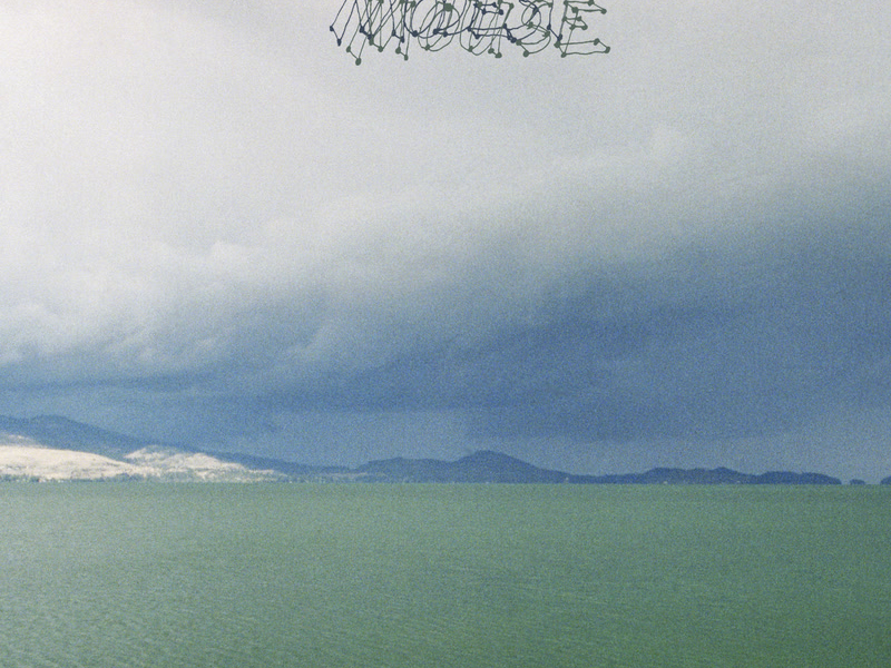 The Fruit That Ate Itself