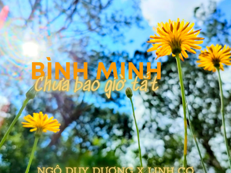Bình Minh Chưa Bao Giờ Tắt (Single)
