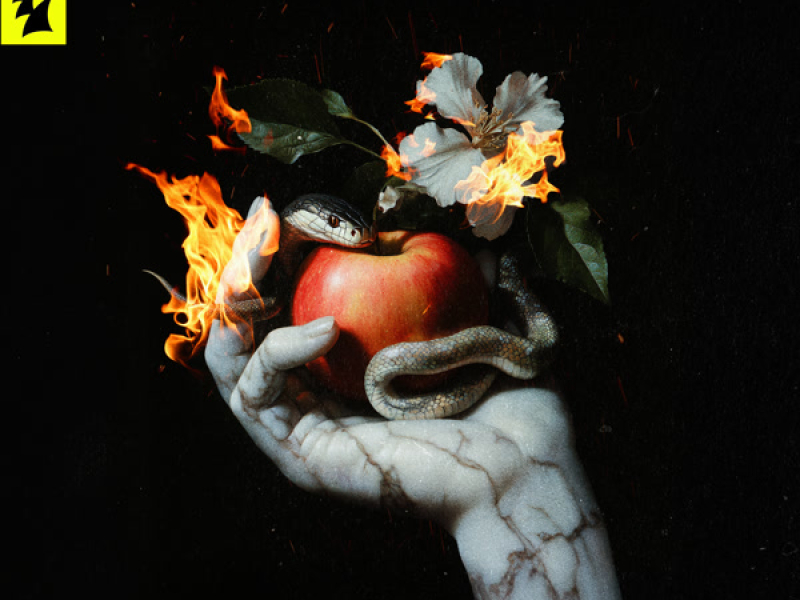 Skyfire (R3SPAWN Remix) (Single)