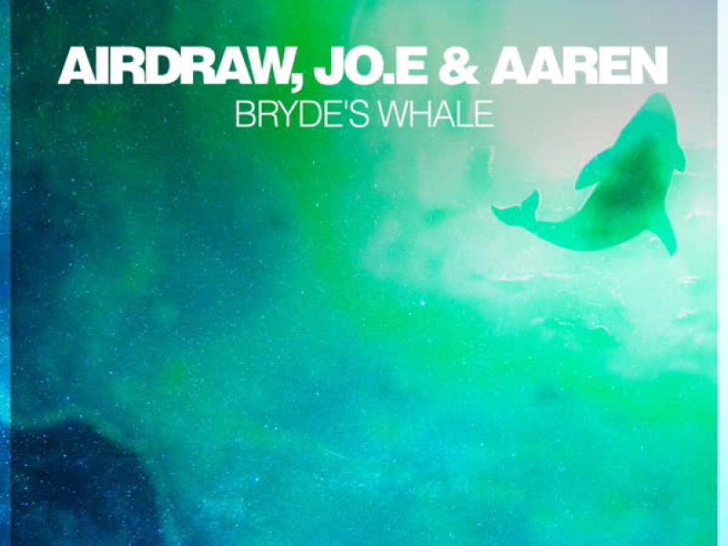 Bryde's Whale