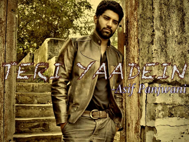 Teri Yaadein (Single)