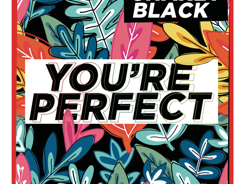 You're Perfect (Single)