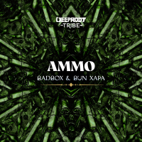 Ammo (Single)