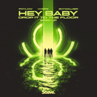 Hey Baby (Drop It To The Floor) - Sped Up (Single)