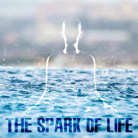 The Spark Of Life (Single)