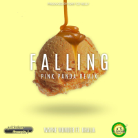 Falling (Pink Panda Remix) (Single)