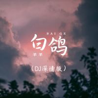 白鸽 (DJ深情版) (Single)