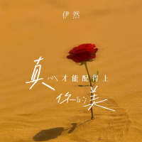 真心才配得上你的美 (Single)