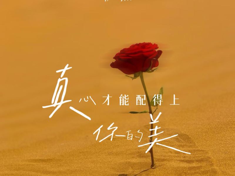 真心才配得上你的美 (Single)