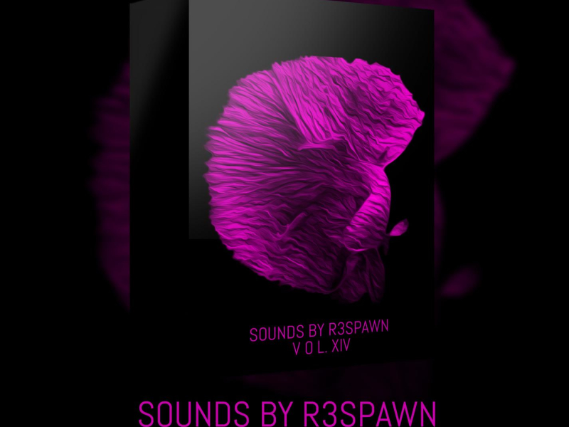 Sounds by R3SPAWN Vol. 14 (Single)