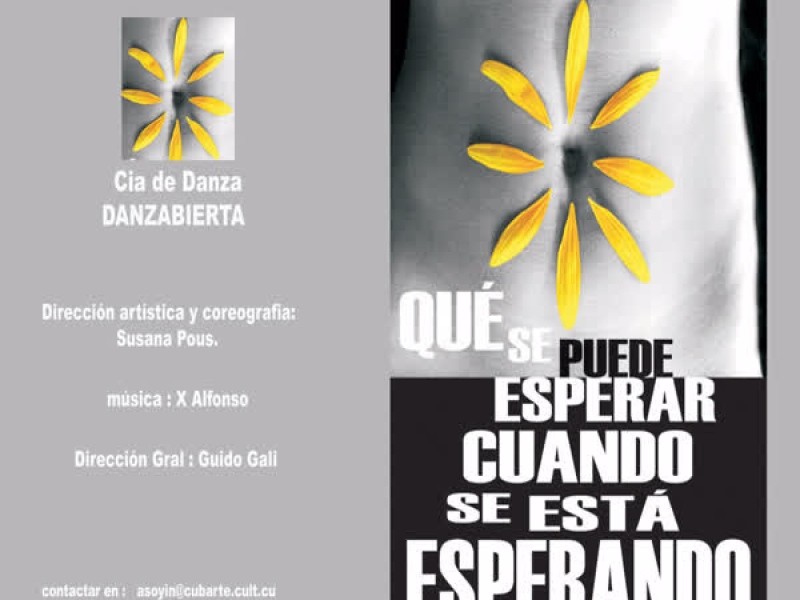 Qué Se Puede Esperar Cuando Se Está Esperando (Single)