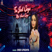 Tu Jeet Gaya Mai Haar Gaya (Single)