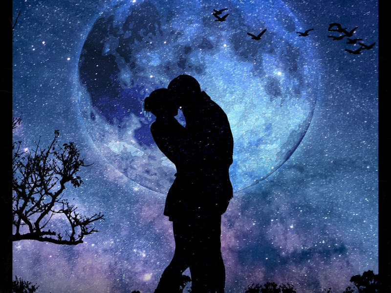 They Can't Take (Single)