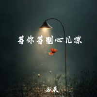 等你等到心儿凉 (EP)