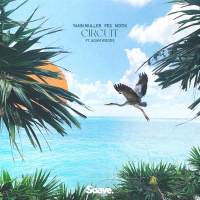 Circuit (Single)