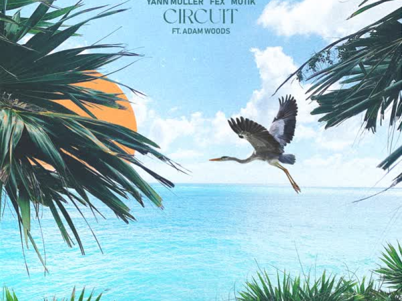 Circuit (Single)