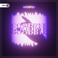 Goodbye (Single)