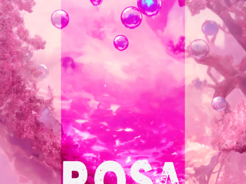 ROSA (JOHN VINCE REMIX) (Single)