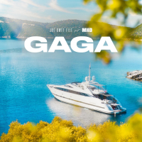 Gaga (Single)