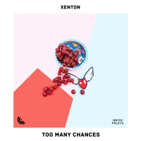 Too Many Chances (Single)