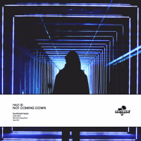 Not Coming Down (Single)