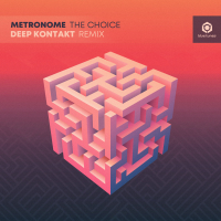 The Choice (Deep Kontakt Remix) (Single)