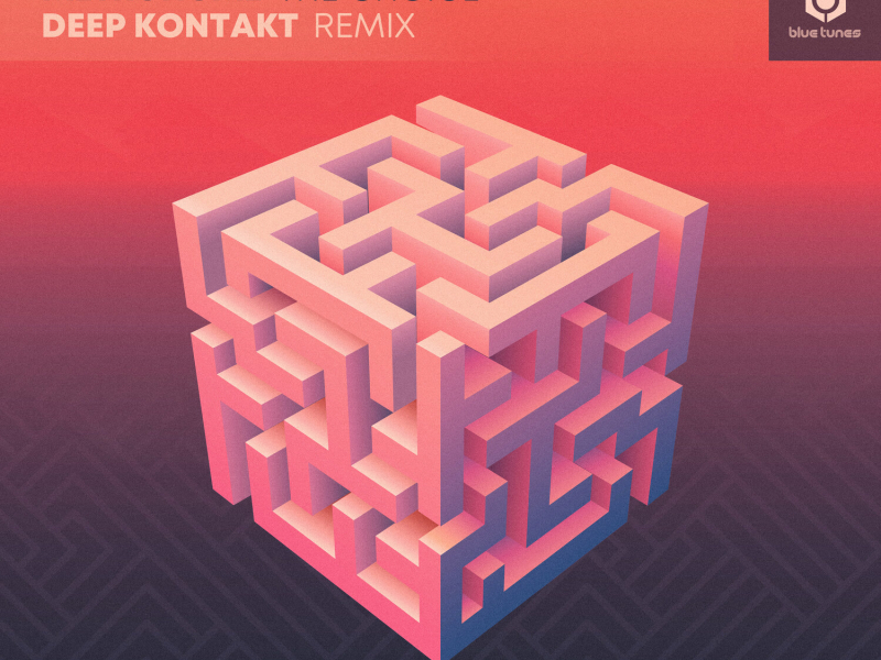 The Choice (Deep Kontakt Remix) (Single)