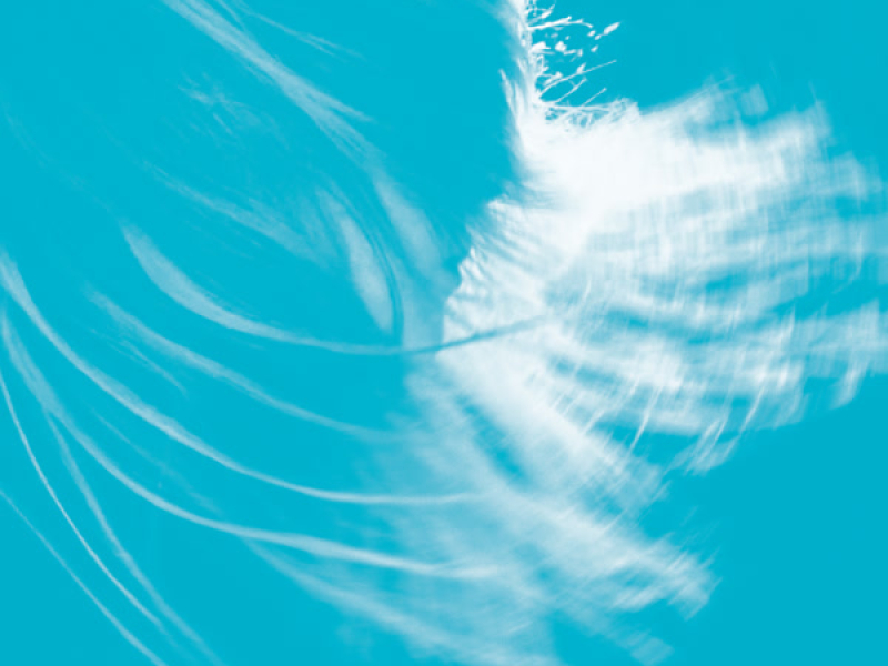 i’m in love... (Single)