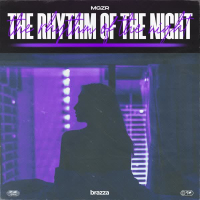 The Rhythm of the Night (Single)