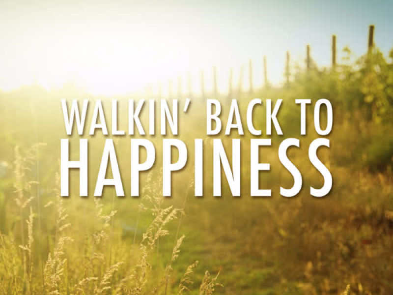 Walkin' Back to Happiness (Remastered) (Single)