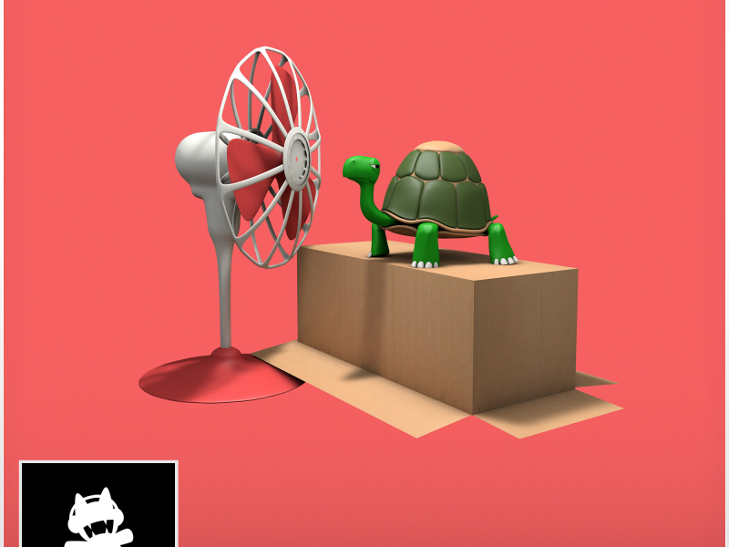 Turtle Town (Single)