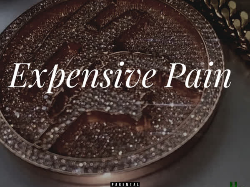 Expensive Pain (Single)
