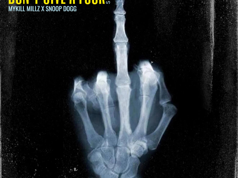 Don't Give A Fuck (feat. Snoop Dogg) (Slowed Version) (Single)