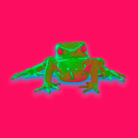 Echoes from Mamori (Single)