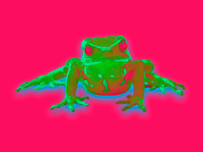 Echoes from Mamori (Single)