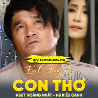 Trích Đoạn Cải Lương Em Ơi Đừng Bỏ Con Thơ (Single)