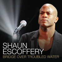 Bridge Over Troubled Water (Single)