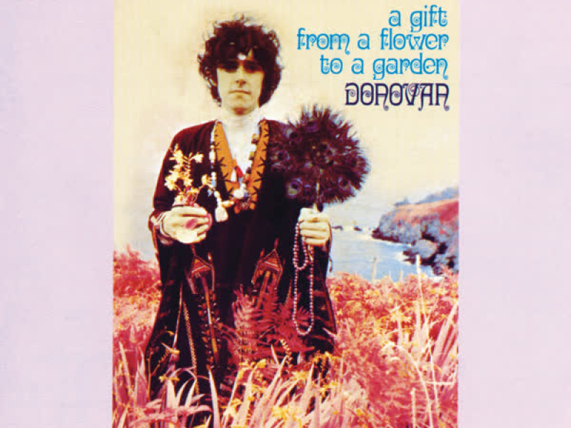 A Gift From A Flower To A Garden