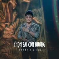 Chọn Sai Con Đường (Ytmix) (Single)