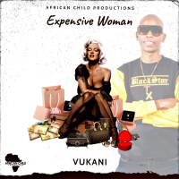 Expensive Woman (Single)