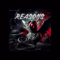 Reasons (Single)
